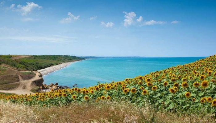 la-riserva-naturale-e-il-brodetto